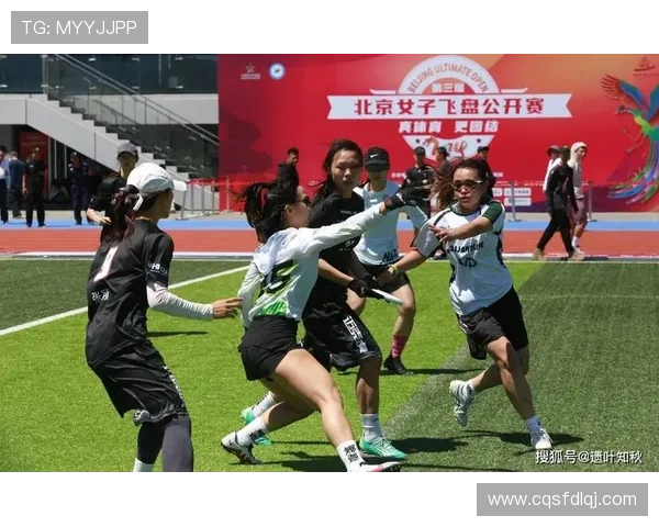 城市马拉松赛评析北京飞盘队展现卓越耐力与团队精神