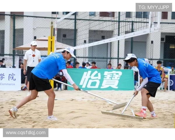 广州排球队运营体系下的排球战术创新与实践探索