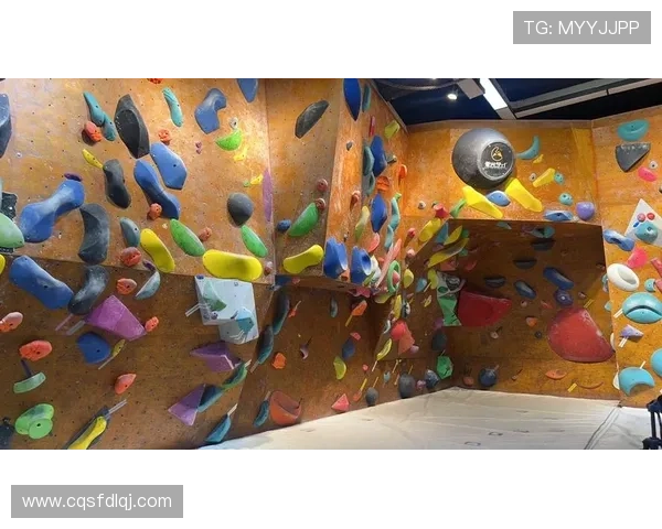 广州攀岩队聚焦速度攀岩的挑战与未来发展探讨