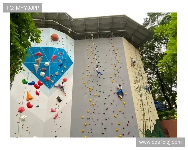 广州攀岩队个人能力引发热议背后的争议与思考