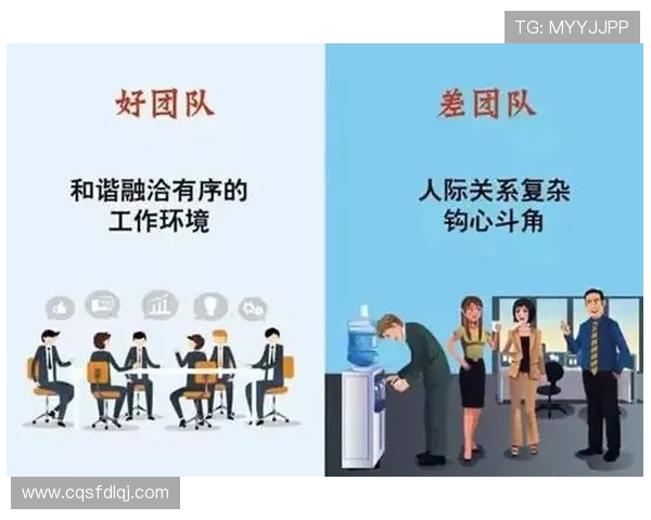 广州极限运动队意识对比分析探讨团队文化与个人表现的关系