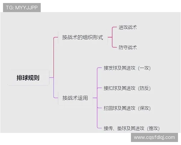 成都排球队反击战术解析与未来发展展望
