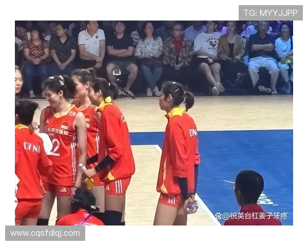 成都排球队比赛经验引发热议球迷观点各异争论不断