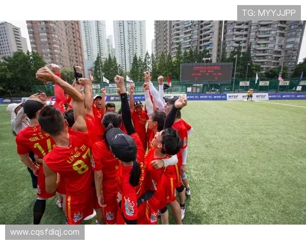 成都飞盘队团队协作表现数据分析探讨与提升策略研究